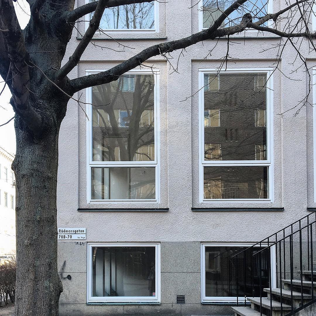 At last, people are moving in to the last of buildings in Lyceum, Zootomiska Institutet